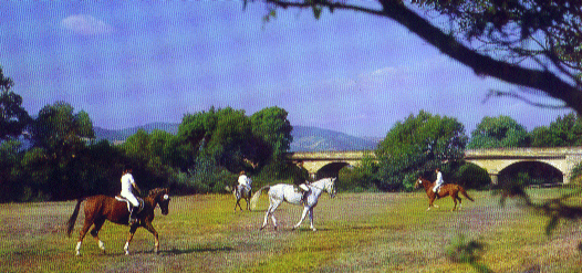 reiten in Bad Sobernheim