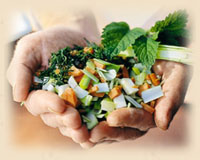 Vitaminreiche Nahrung wird bei uns gro� geschrieben