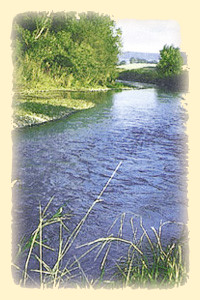 Die idyllische nahelandschaft l�dt ein ...